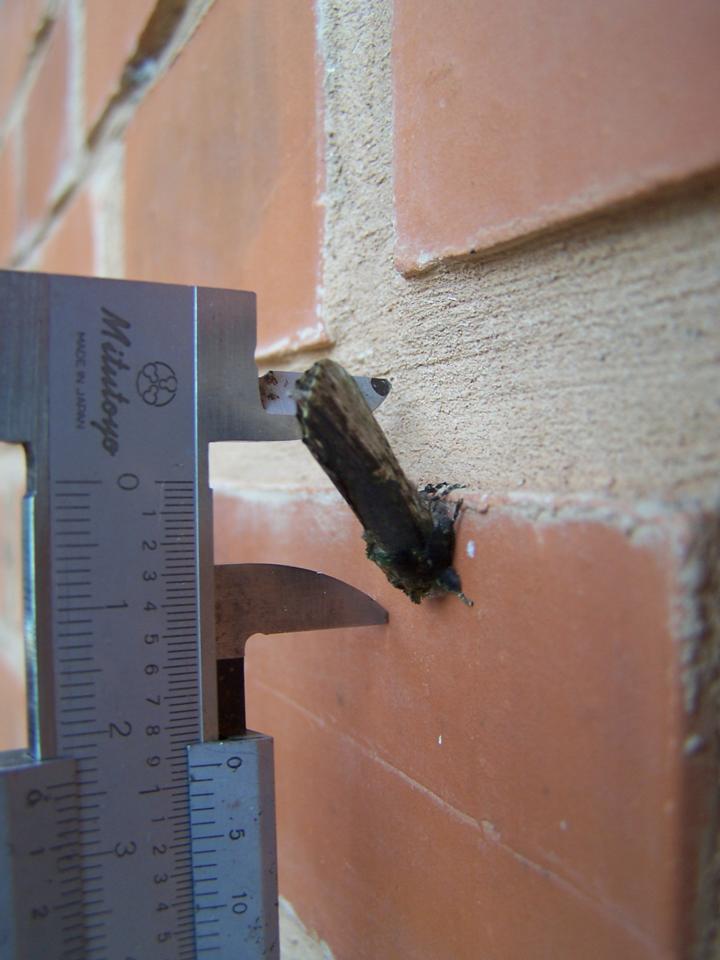 FIGURE 9 FIGURE 9